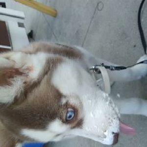 Meet your Posher, Chance